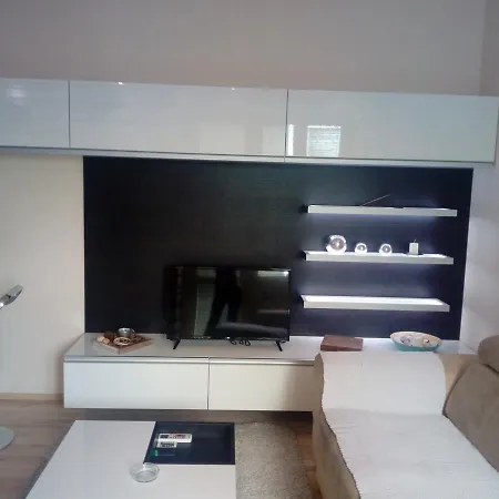 Zvezda Apartment
