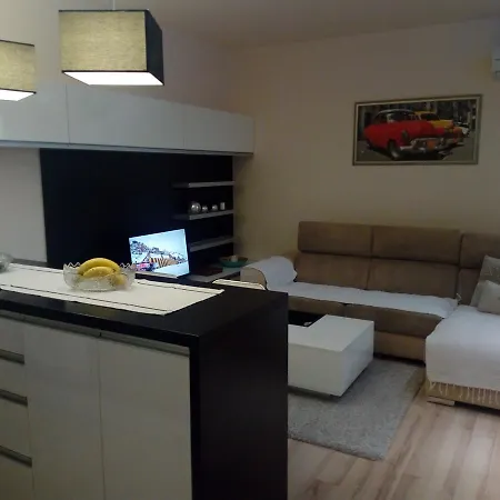 Zvezda Apartment