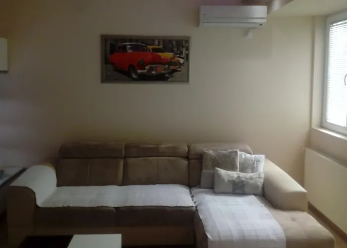 Daire Zvezda Jagodina