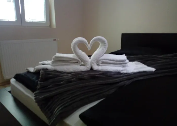 Zvezda Daire Jagodina